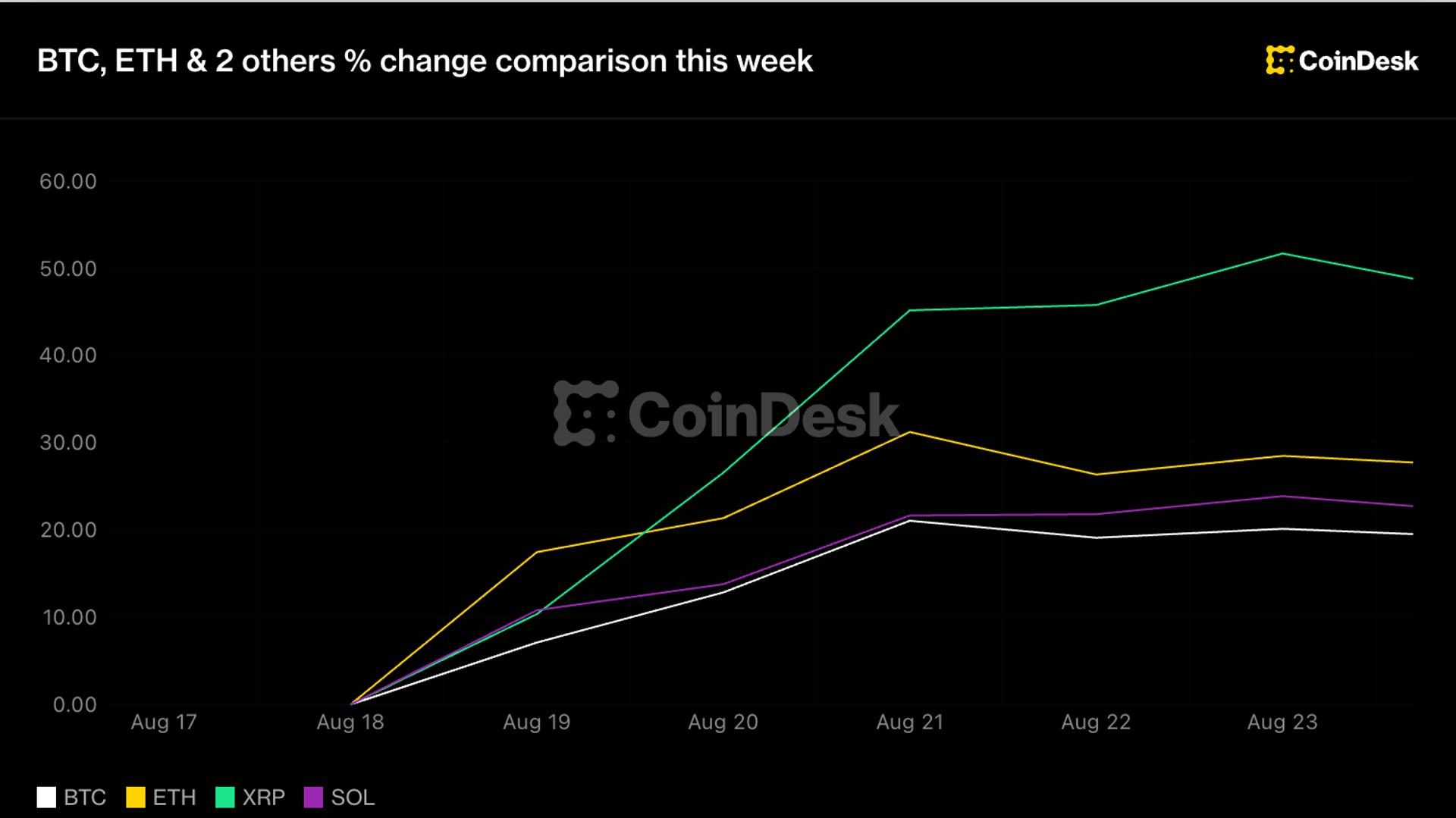Bitcoin holds $77K after strong weekly rally; XRP surges amid market momentum