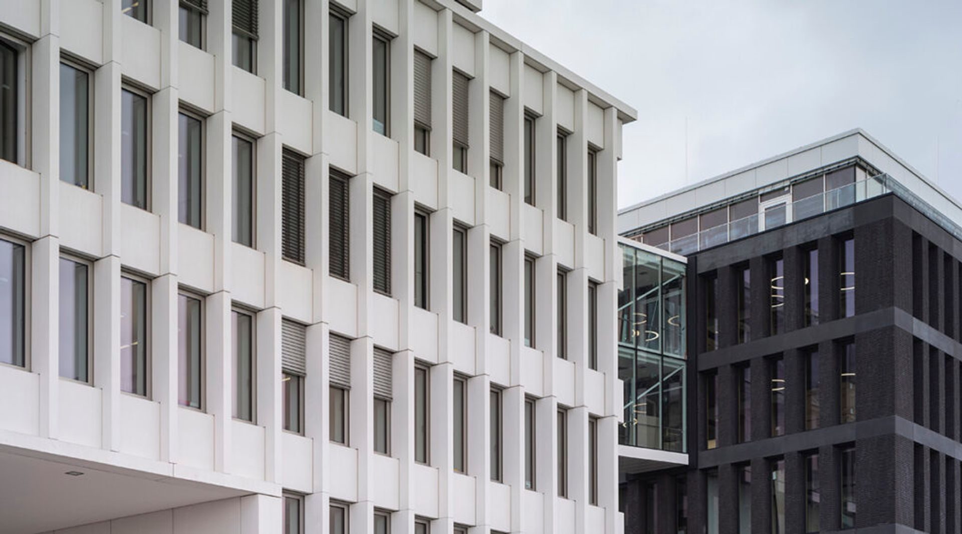 Ripple gains full MiCA compliance across EU and EEA markets