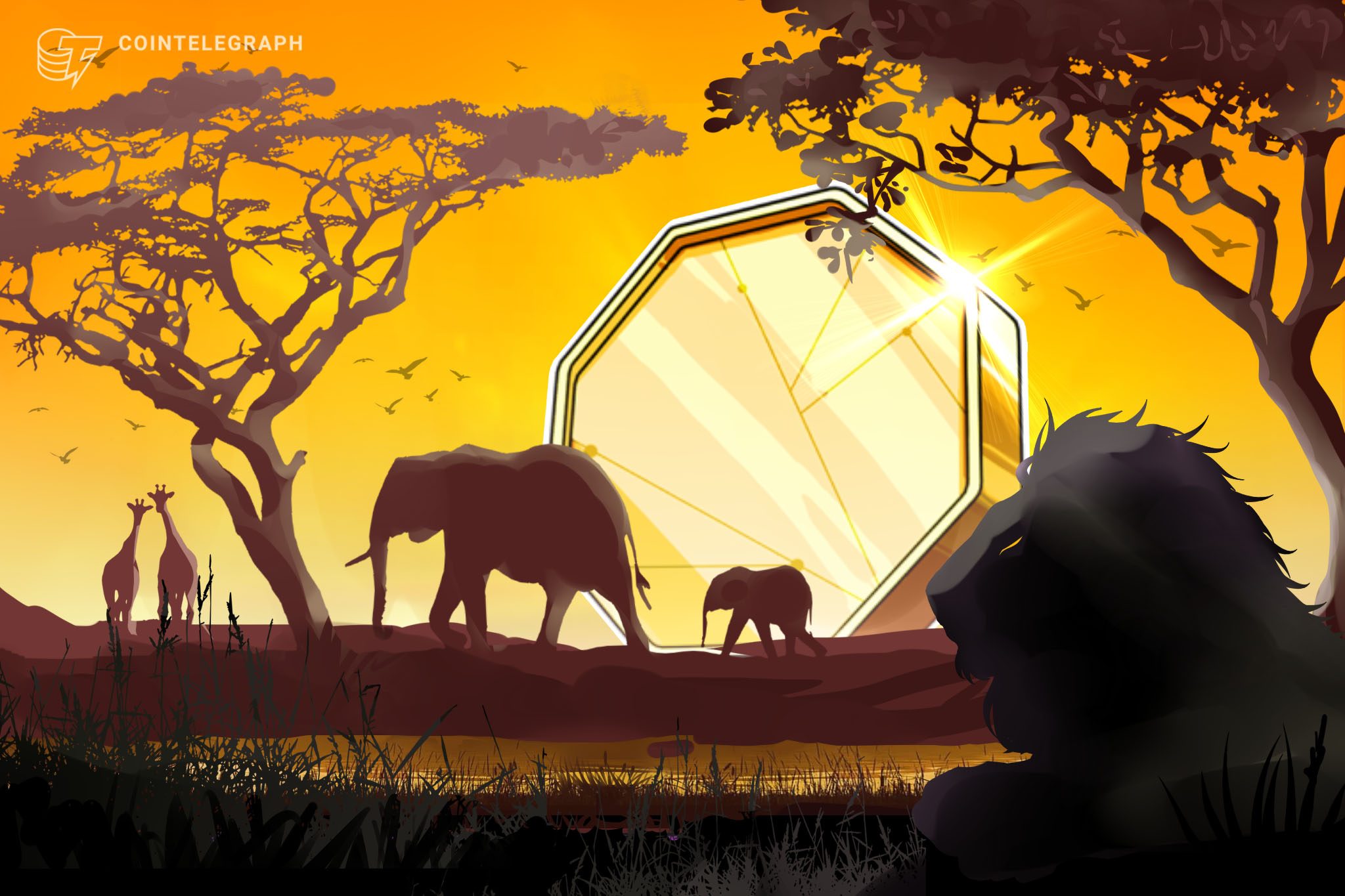 Zimbabwe green-lights seven fintech projects for regulatory testing