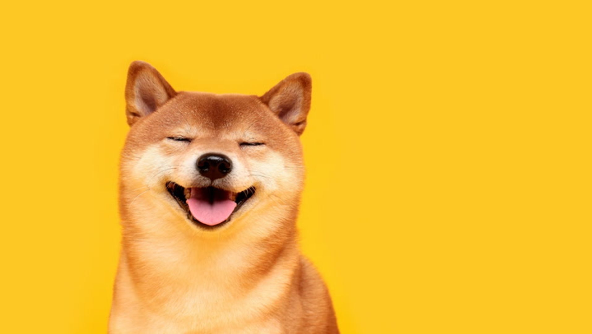 Shiba Inu jumps 36% amid South Korean trading surge