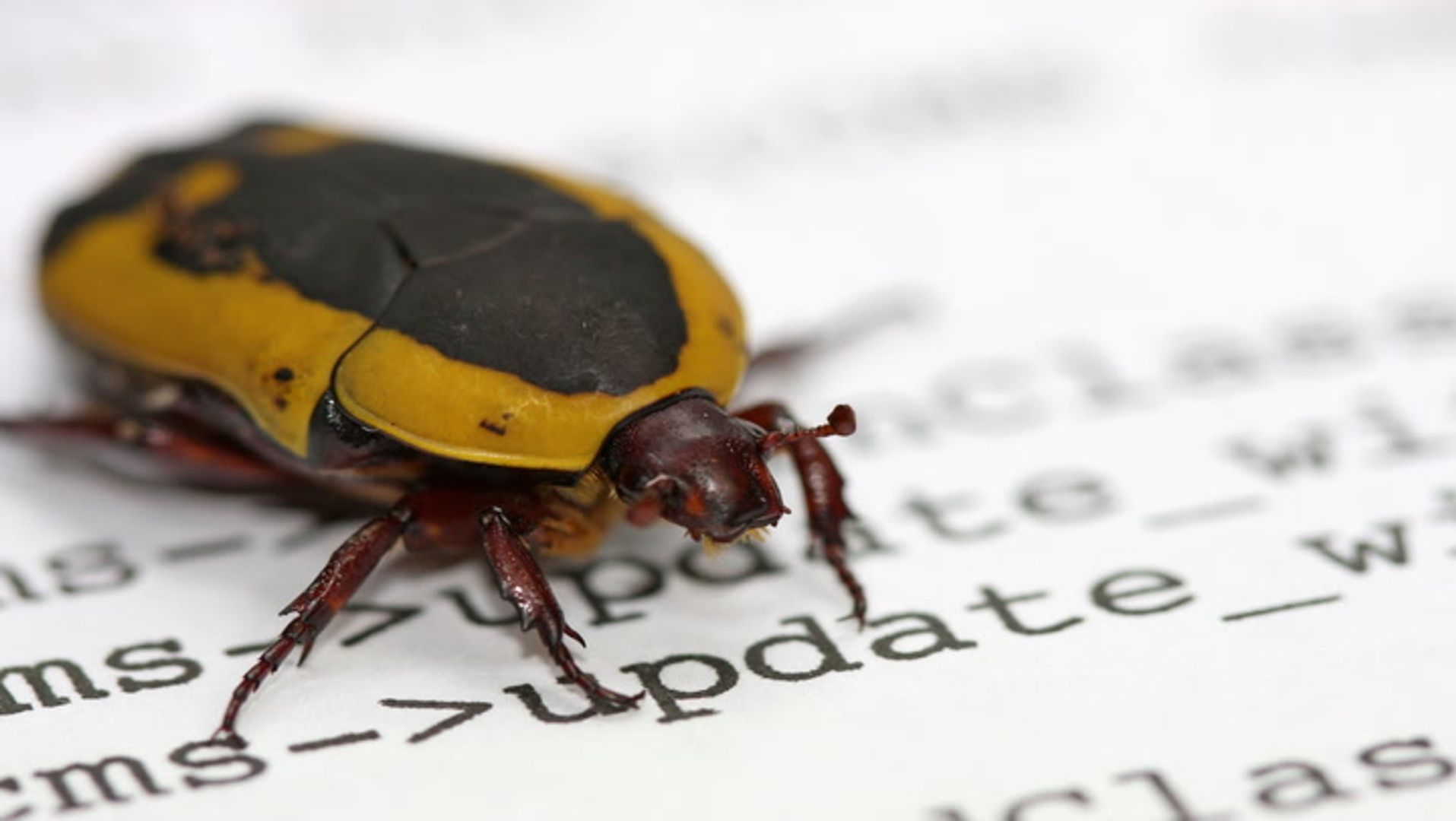 AI agents discovered Ethereum validator bug; human review confirmed legitimacy