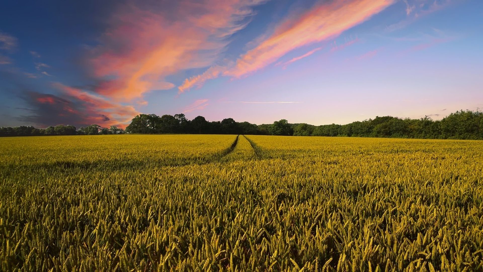 Indian agri platform tokenizes $2B in grain collateral on Avalanche