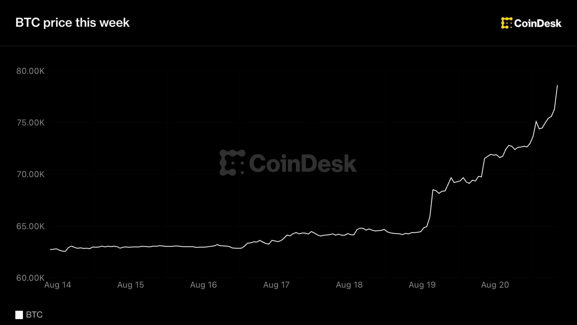 Bitcoin surges past $77K in best week since 2023, lifting altcoins