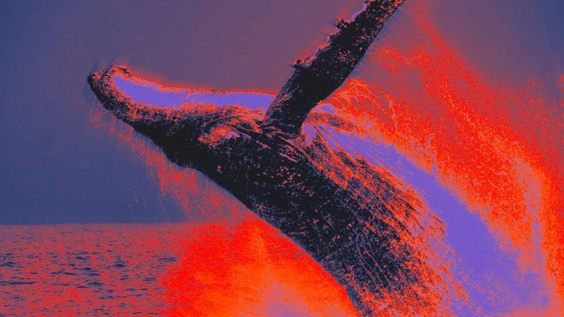 Bitcoin whale awakens after 8 years, moves ~5,900 BTC to new address