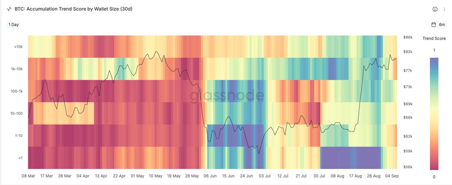 Bitcoin faces selling pressure as whale wallets shift to net distribution