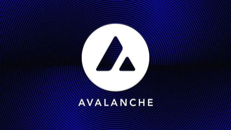 Avalanche Treasury stock down 73% since IPO amid AVAX value decline