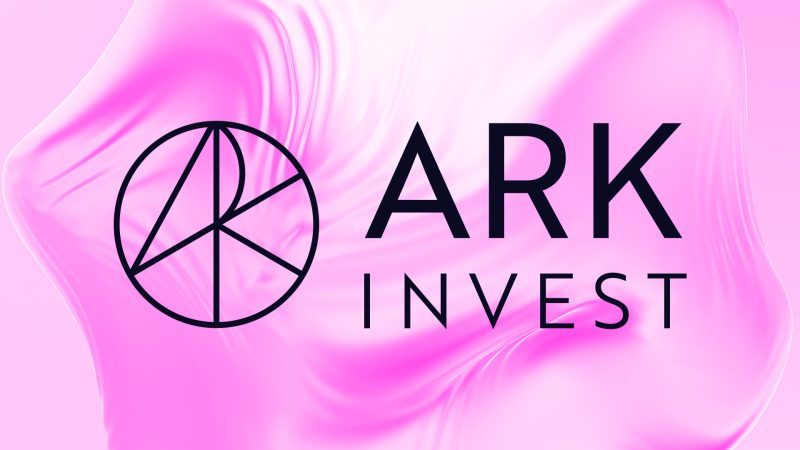 Ark Invest buys $18M in Circle shares as stablecoin rival OUSD pressures stock